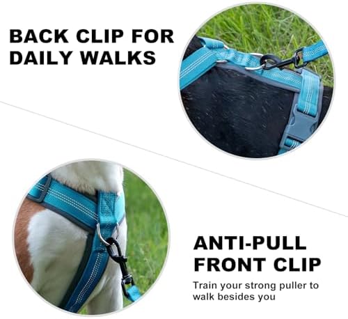 Plutus Pet No Pull Dog Harness, Adjustable Nylon Harness with Soft Padding