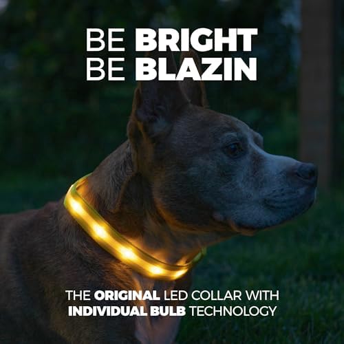 Blazin Light Up Dog Collar - The Original LED Dog Collar - USB Rechargeable - Waterproof - 1,000 Feet of Visibility - Dog Collar Light for Small, Medium, Large Dogs - USA Brand