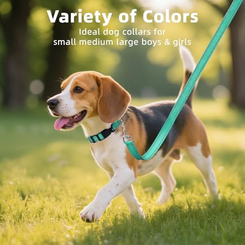 Reflective Dog Collar for Mediunm Dogs, Adjustable Collar with Soft Neoprene Padded, Durable Buckle for Daily Walking,Teal,M, 1" Width