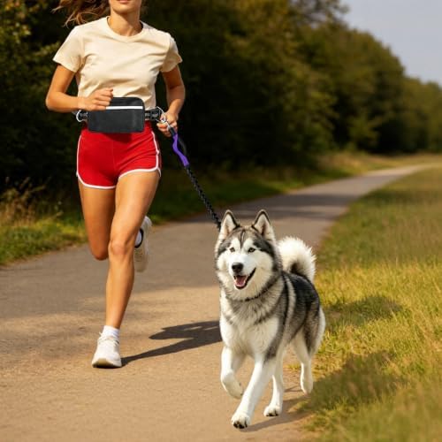 Hands Free Dog Leash, Shock Absorbing Waist Belt for Walking (Purple)