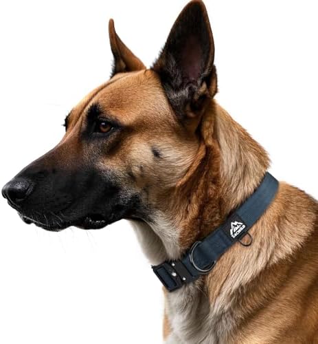 Dog Collar for Large Medium Small Dogs Leash Harness(Navy Blue, S)