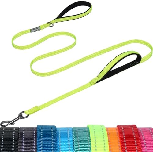 VIVAGLORY Double Handle Dog Leash Twingrip, 4ft x 1/2in, Neon Yellow