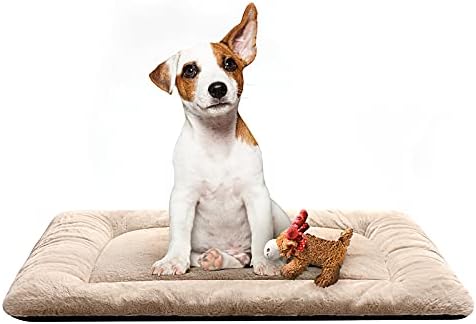 Dog Crate Pad Washable Dog Bed for Crate Medium Cozy Mat 30-Inch Cream