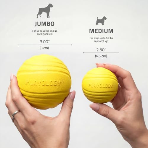 Playology Durable Large Dual Layer Dog Ball - Jumbo, Chicken Scent