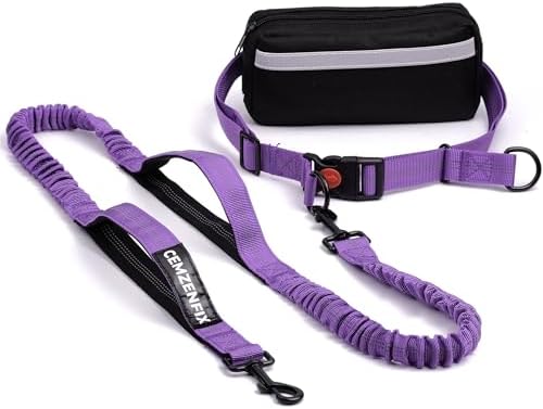 Hands Free Dog Leash with Waist Belt – No-Pull Bungee, Dual Padded Handles & Zipper Pouch for Running, Walking & Training – Adjustable Waist Leash for Large & Medium Dogs