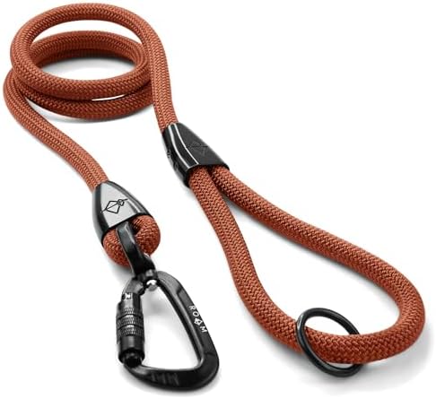 MADE TO ROAM Premium Explorer Leash - Climbing Rope Leash with Autolocking Aviation Aluminum Carabiner - Nevada Evening, 4ft