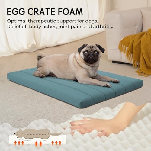 BALANCE Dog Crate Bed, Orthopedic Dog Bed Pad with Waterproof Liner, Washable Crate Foam Pet Mat for Large, Medium, Puppy Dogs Breeds, Powder Blue, 30"x19"x1.6"
