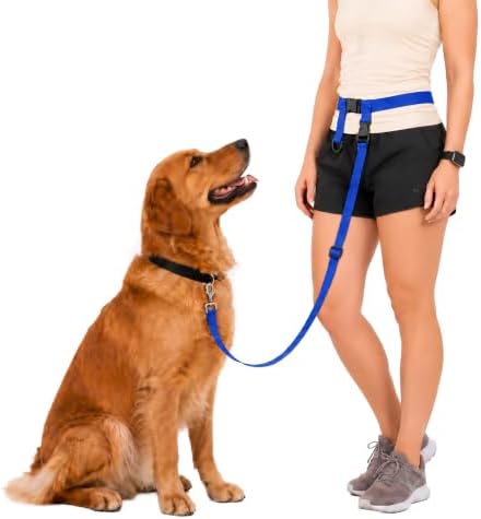 The Buddy System - Hands Free Dog Leash - Regular Dog, Regular, Royal Blue