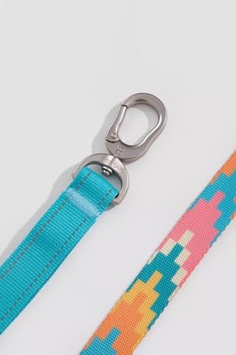 Adjustable Stretch Dog Leash - 3 in 1 Hands Free (Mountain)