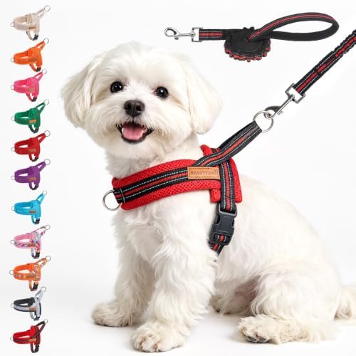BEAUTYZOO Small Dog Harness and Leash Set, No Pull Step in Puppy Vest