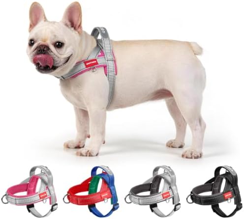 No Pull Dog Harness with 3 Clips and Soft Padded Handle (Pink, L)