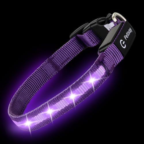 Super Bright LED Dog Collar, Waterproof Light up Collars(Purple, X-Small)