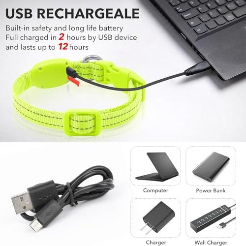 Illumifun LED Dog Collar, USB Rechargeable Light Up Dog Collar, Waterproof Nylon Glowing Safety Collar for Small Dogs Cats (Green, X-Small)