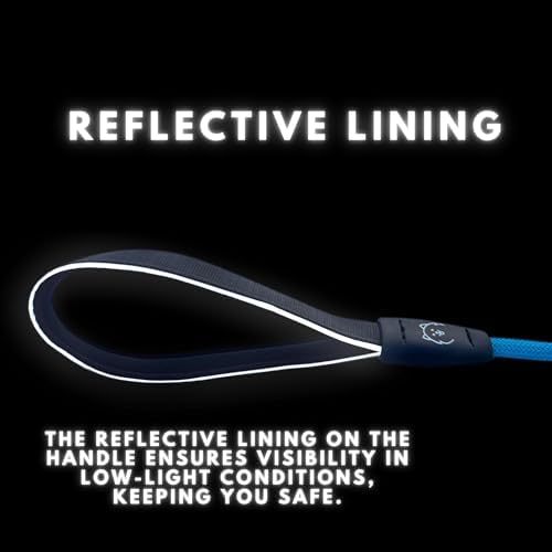 ShawnCo Basecamp Rope Dog Leash (Oceanic Blue, 5 Feet)