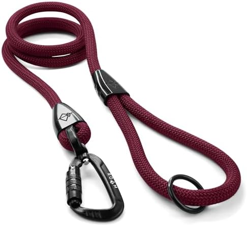 MADE TO ROAM Premium Explorer Leash - Climbing Rope Leash with Autolocking Aviation Aluminum Carabiner - Vermont Weekends, 4ft