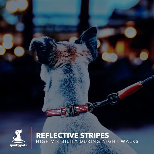 SparklyPets Extra Small Dog Collar with Quick Release Chrome Buckle & AirTag Holder – Premium Small Breeds Collars with Reflective Stripes & Soft Lining for Female & Boy Dogs