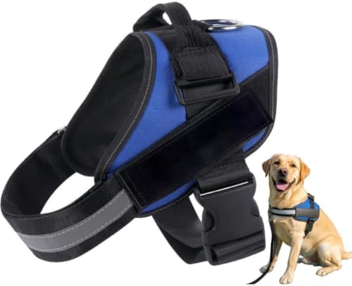 Dogshood Dog Harness, No-Pull Harness Design (Blue,XXL)