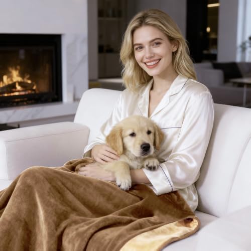 QiyI Reversible Waterproof Blanket for Bed Queen Size, 60"x80", Brown/Tan