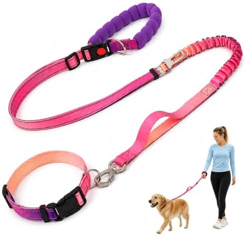 Hands Free Dog Leash and Collar Set Reflective Nylon Pet Lead Handles by Padded Traffic Handle for Small Medium and Large Dogs