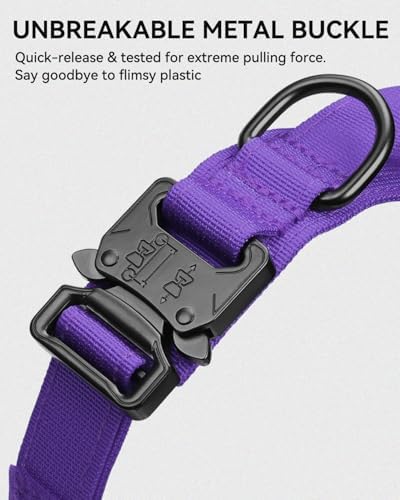 Joytale Tactical Dog Collar for Medium Dogs, Traffic Control Handle, Purple
