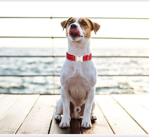 Reflective Dog Collar with Quick Release Metal Buckle Heavy Duty