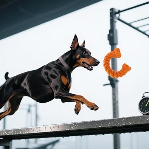 COOLHOOD Natural Rubber Dog Chew Toy with Durability for Aggressive Chewers Promotes Dentals Health Easy