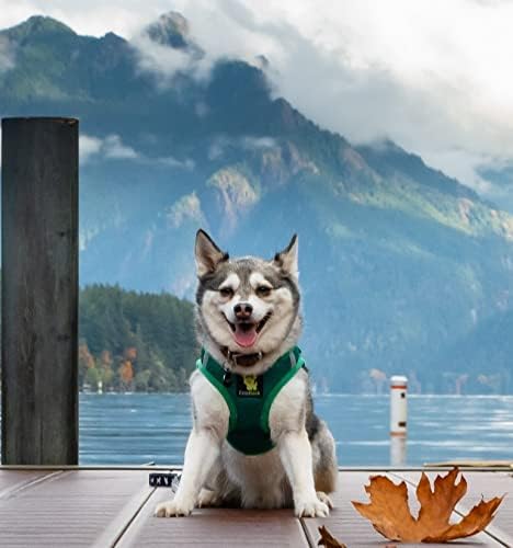 EcoBark Luxury Step in Mesh Dog Harness for Small Dogs, Forest Green