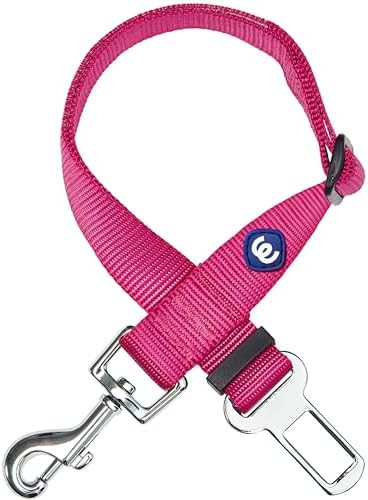 Blueberry Pet Dog Leash - Puppy Essentials & Heavy Duty Dog Leashes for Large Dogs, Safety Tether for Dogs & Cats, Very Berry, 2" W x 27.5" L, Festive & Durable for Pet Parents & Road Trips