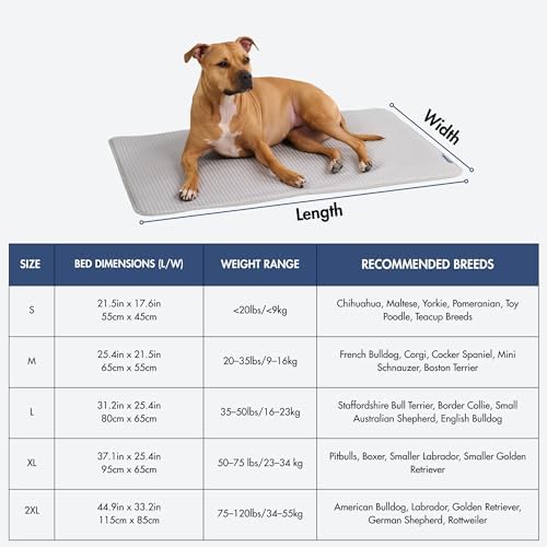 Spark Paws FrostCore Dog Cooling Mat - Non Gel Self Cooling Pet Pad