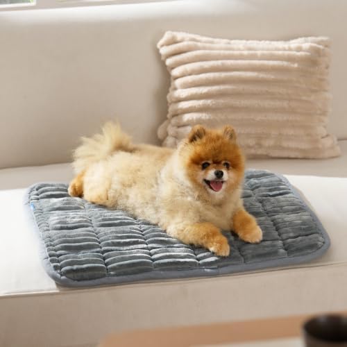 Bedsure ComfyFleece™ Washable Dog Crate Pad,Soft Fluffy Small Pet Mat,24"