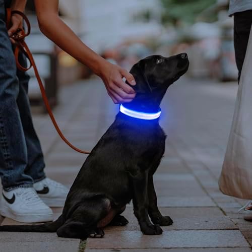 Illumifun LED Dog Collar, Adjustable Dog Light Up Collars, USB Rechargeable Safety Collar Light Glow in the Dark (Blue, Large)