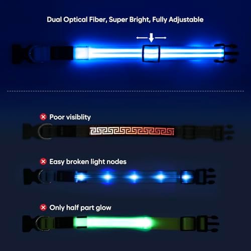BSEEN Light Up Dog Collar - Glow in the Dark LED Dog Collar Rechargeable, Double Line Fiber Optic Lighted Puppy Collar, Safety Dog Lights for Night Walking (Blue, Medium)