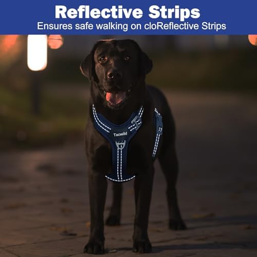 No Pull Dog Harness - Adjustable Reflective Dog Vest with Metal Snap, Soft Breathable Mesh No Choke Puppy Harness, Easy to Put on & Take Off (Blue-XL)