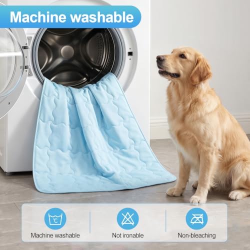 Dog Cooling Mat 21X29in Gray Q-MAX>0.5 Non-Slip Self-Cooling
