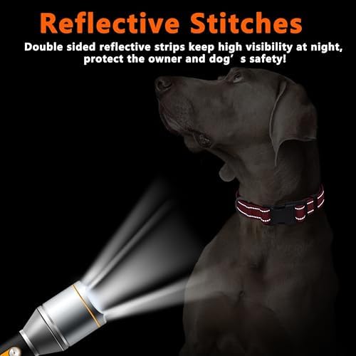 Seyezo Reflective Dog Collar, Soft Neoprene Padded Collar(Red,M)