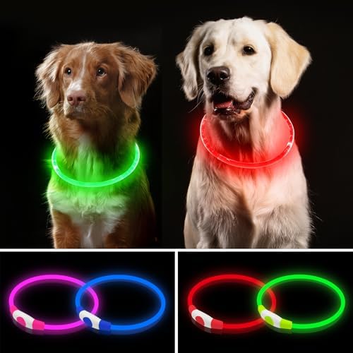 2 Pack Light Up Dog Collar, USB Rechargeable Dog Collar Light for Night Walking, Led Lighted Collar, Glow in the Dark Collar for Small Medium Large Dogs (Red+Green)