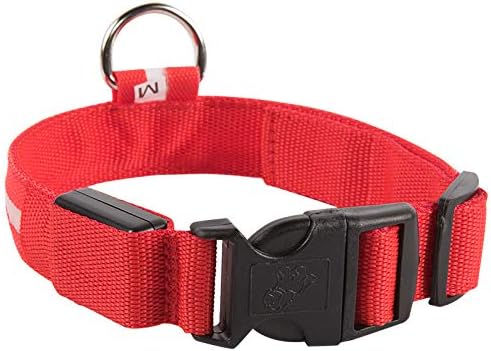 A4DOG Comfortable Reflective Dog Collar for Large Dogs, Soft Padded Neoprene Dog Collar, Padded Dog Collar Small, Breathable Nylon Pet Collar Adjustable, 3 Sizes, 9 Colors