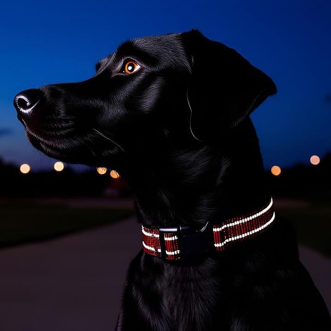 Reflective Nylon Dog Collar for Medium Dogs,Neoprene Padding,Red