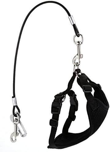 Chew Proof Dog Car Seatbelt Safety Restraint Stainless Steel Tether Cable