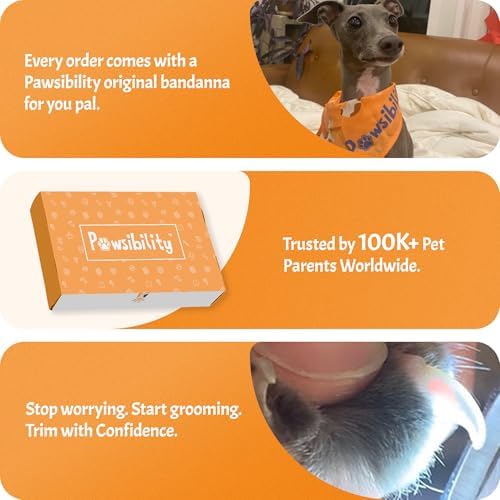 Pawsibility Pet Nail Clipper PRO 2026 - Quick-Vision LED Light | 2-Stage Adjustable Professional-Grade Blade | Adjustable Magnifier Safety Guard - for Cats, Small, Medium and Large Dogs - Black