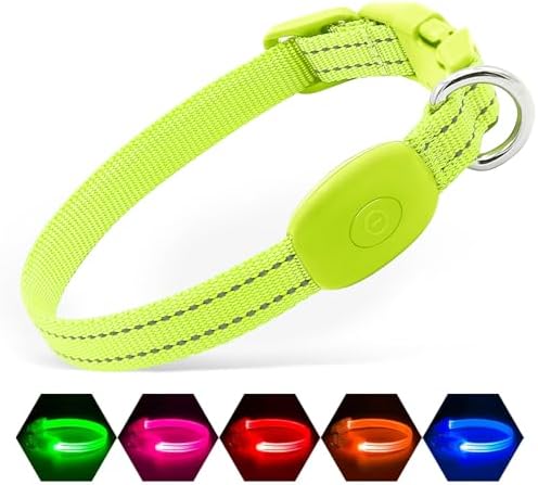 Illumifun LED Dog Collar, USB Rechargeable Light Up Dog Collar, Waterproof Nylon Glowing Safety Collar for Small Dogs Cats (Green, X-Small)
