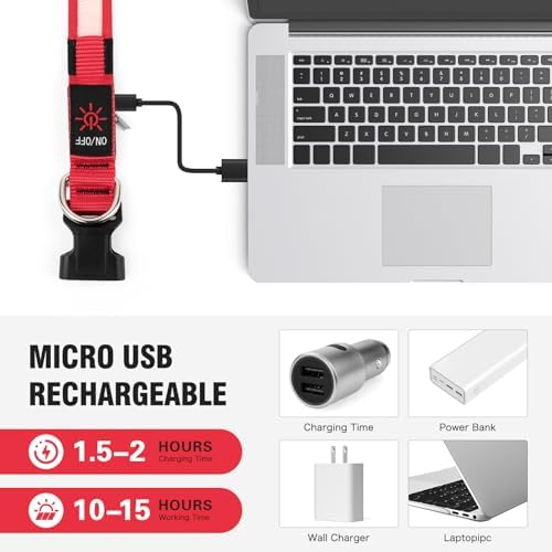Illumifun Light Up Collar for Small Dogs, USB Rechargeable LED Dog Collar Glowing in the Dark, Safety Collar Light for Your Pups (Red, Small)