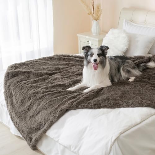 gogobunny Waterproof Dog Blanket for Couch & Furniture Protection - Super Soft Reversible Throw for Large Dogs & Cats, Calming Washable Fur & Sherpa Pet Blanket (40x50 Inch, Stone)