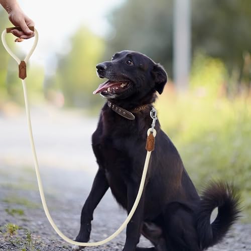 Mile High Life Dog Leash with Genuine Leather-Wrapped Ends/Handle, 4/5/6FT