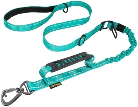 AUBELL Tactical Dog Leash Heavy Duty,4-6ft No Pull Bungee Leash,Teal