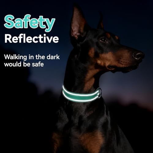 Reflective Dog Collar for Mediunm Dogs, Adjustable Collar with Soft Neoprene Padded, Durable Buckle for Daily Walking,Teal,M, 1" Width