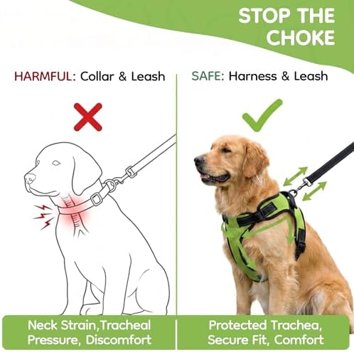 No Pull Reflective Adjustable Dog Harness with Handle- Comfortable Soft All Weather Mesh, Easy On Puppy Harness for Small Medium and Large Dogs (Green) X-Large