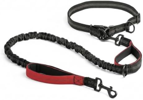 Fits Most Waist Sizes: Hands-Free Dog Leash with Shock-Absorbing Bungee, Adjustable Nylon Belt for Running and Hiking