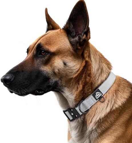 Dog Collar for Large Medium Small Dogs Leash Harness(Light Grey, 2XL)