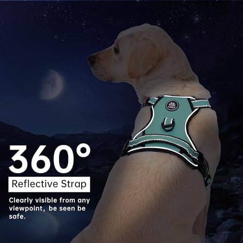 IVY&LANE No Pull Dog Harness for Large Dogs,Reflective Dog Vest Harness | No Choke,Fully Adjustable,Soft Handle,with Leash, Safety Belt and Storage Strap,Turquoise,XL